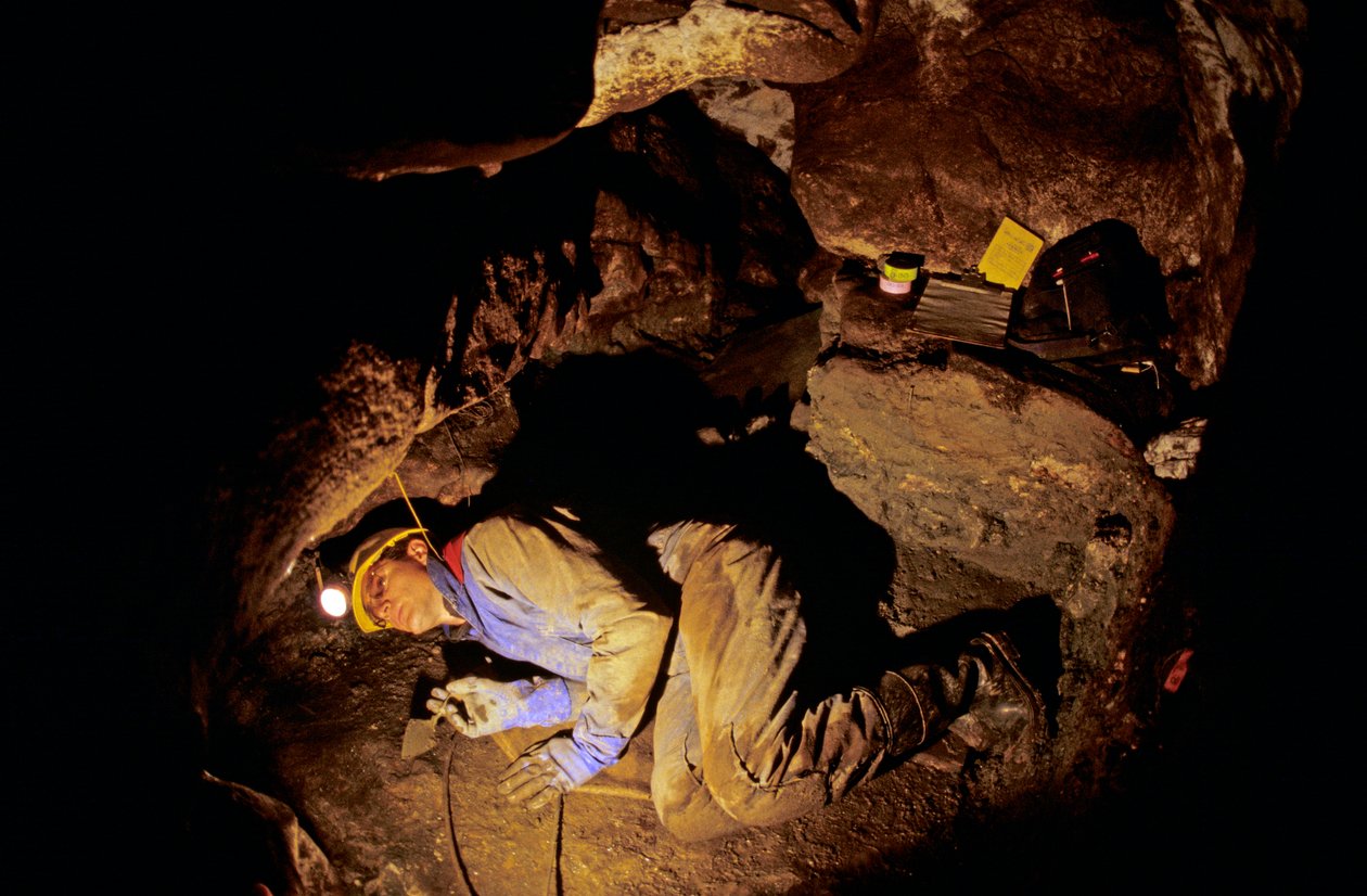 Hvem var de første amerikanere, Timothy Heaton, udgravning, On your Knees Cave, Prince..., 2008 (foto) af Kenneth Garrett