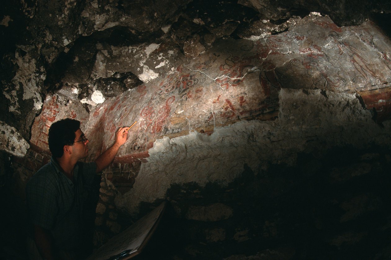 William Saturno inspicerer vægmaleri; San Bartolo; Guatemala; Maya, 2002 (foto) af Kenneth Garrett
