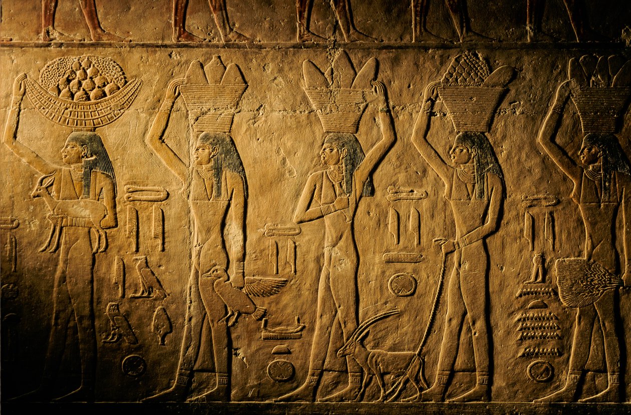 Kvinder bærer brød, fugl, ged og produkter, Tiyes grav, Egypten; Gamle Rige; Saqqa... af Kenneth Garrett