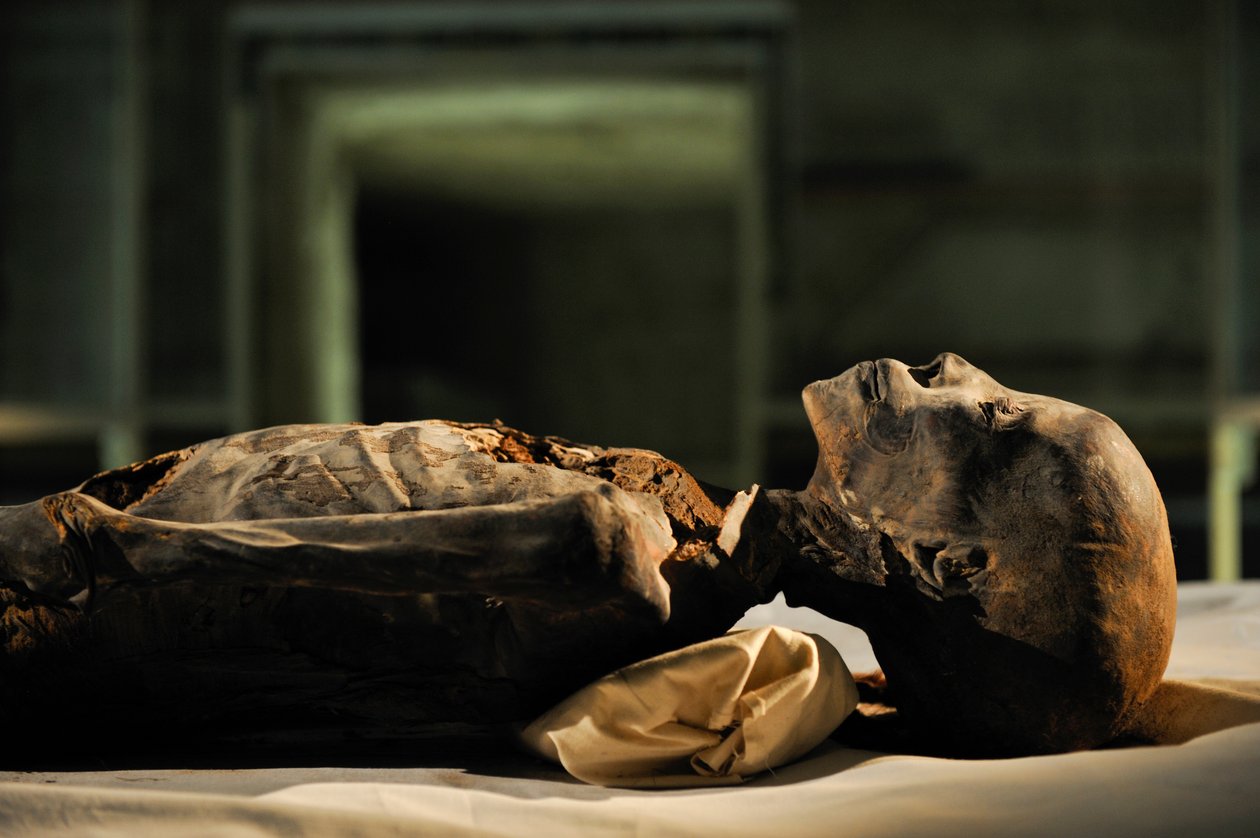 mm7864; 18. dynasti; Ny Rige; Egypten; DNA; Prøve; Mumie, ukendt mumie, 2005 (foto) af Kenneth Garrett