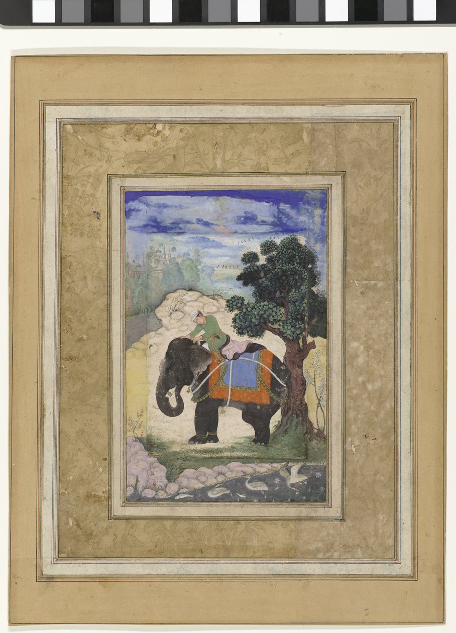 Elefant og rytter Elefant med rytter af Keshavdas (possibly)