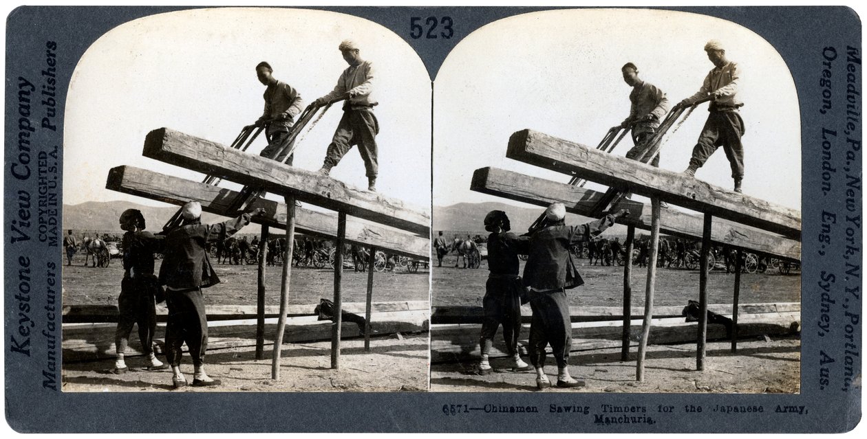 Kinesiske mænd savede tømmer til den japanske hær, Manchuriet, russisk-japansk krig, 1904-1905. af Keystone View Company
