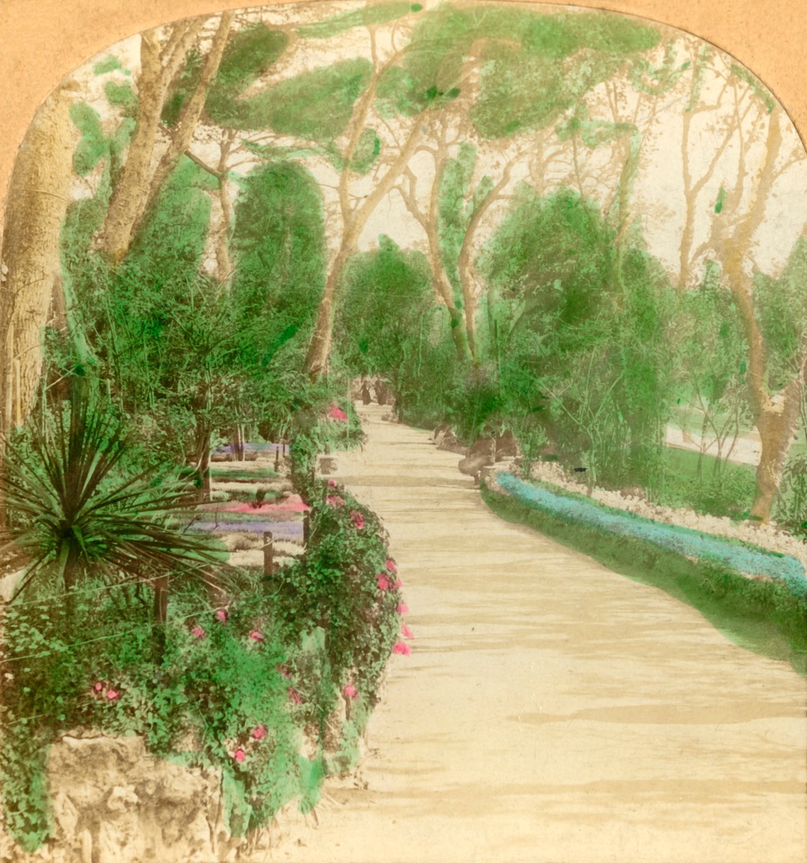 Promenade, Alameda Garden, Gibraltarklippen, 1896. af Keystone View Company