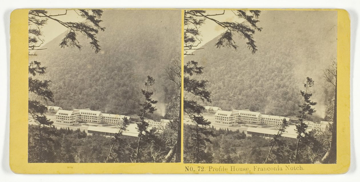 Profilhus, Franconia Notch, 185575. Skabere: Kilburn Brothers, BW Kilburn. af Kilburn Brothers, BW Kilburn