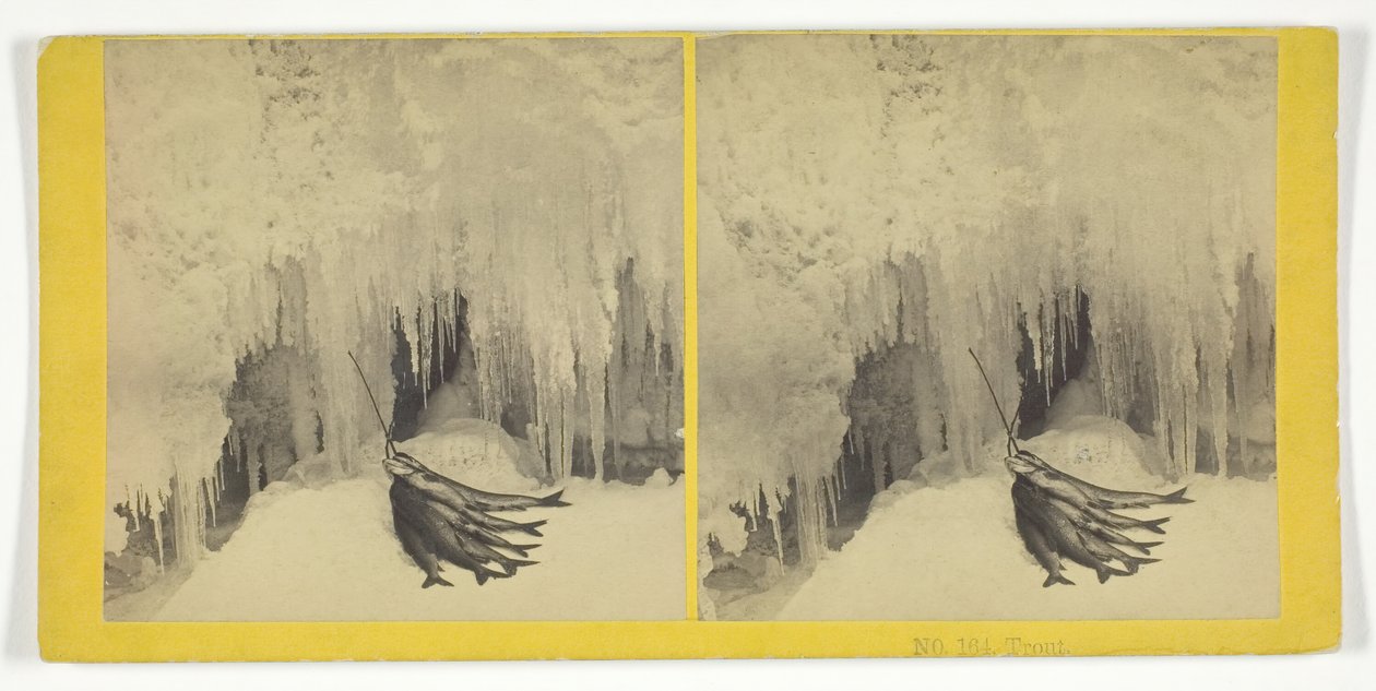 Ørred, 185575. Skaber: Kilburn Brothers, BW Kilburn. af Kilburn Brothers, BW Kilburn