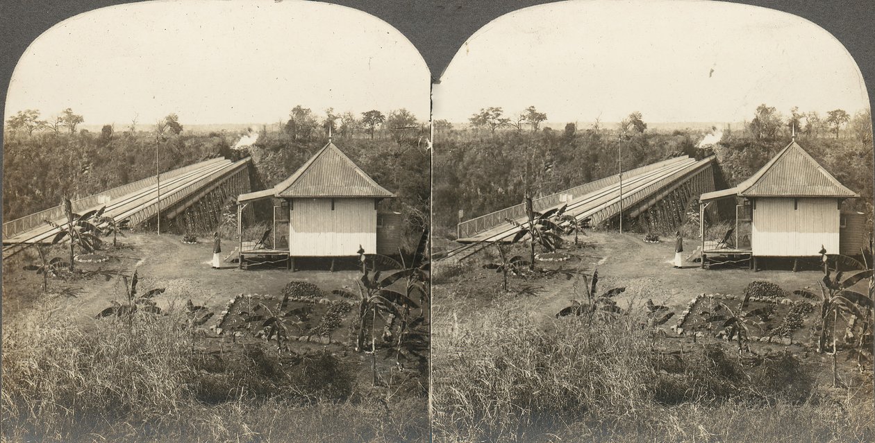 Gruppe på 14 stereografier af Afrika og skuespillere, 1850