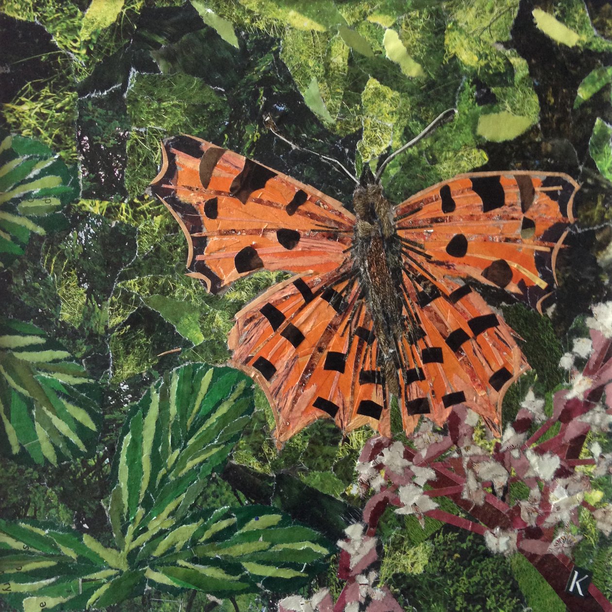 Flutter - Kommasommerfugl på Japonica af Kirstie Adamson