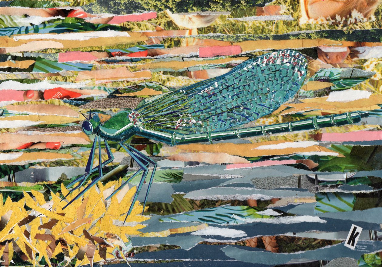 Grøn Dragonfly af Kirstie Adamson