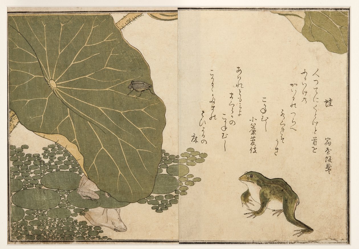 Frøer og gylden insektbille,1788 (træsnit) af Kitagawa Utamaro