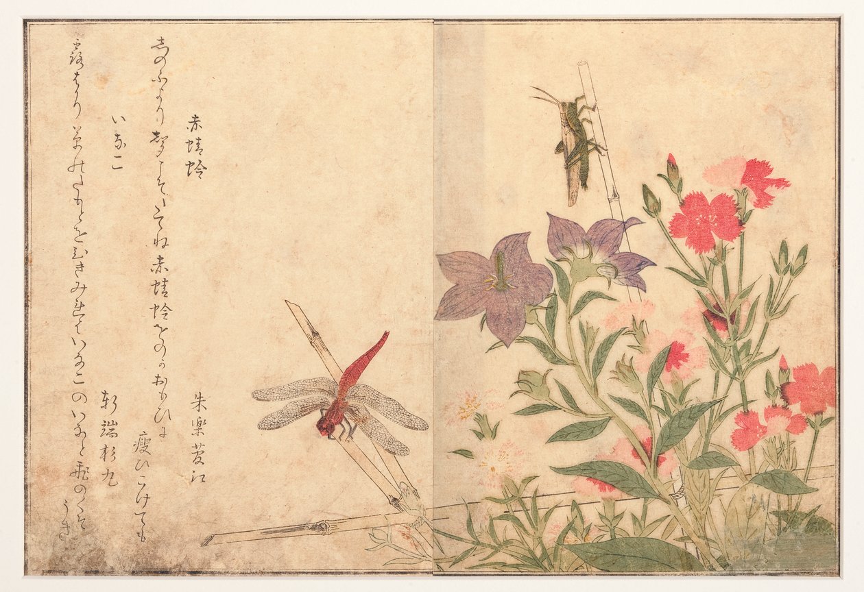 Rød guldsmede og ris græshoppe, 1788 (træblok) af Kitagawa Utamaro