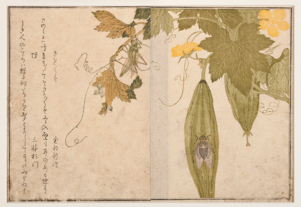 Syngende cricket på cikade, 1788 (træblok) af Kitagawa Utamaro