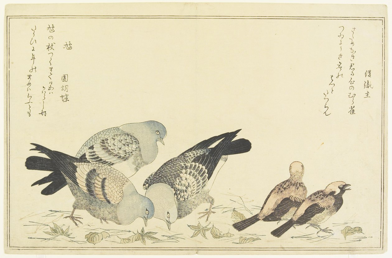 Træspurv og Klippedue, ca. 1790 af Kitagawa Utamaro