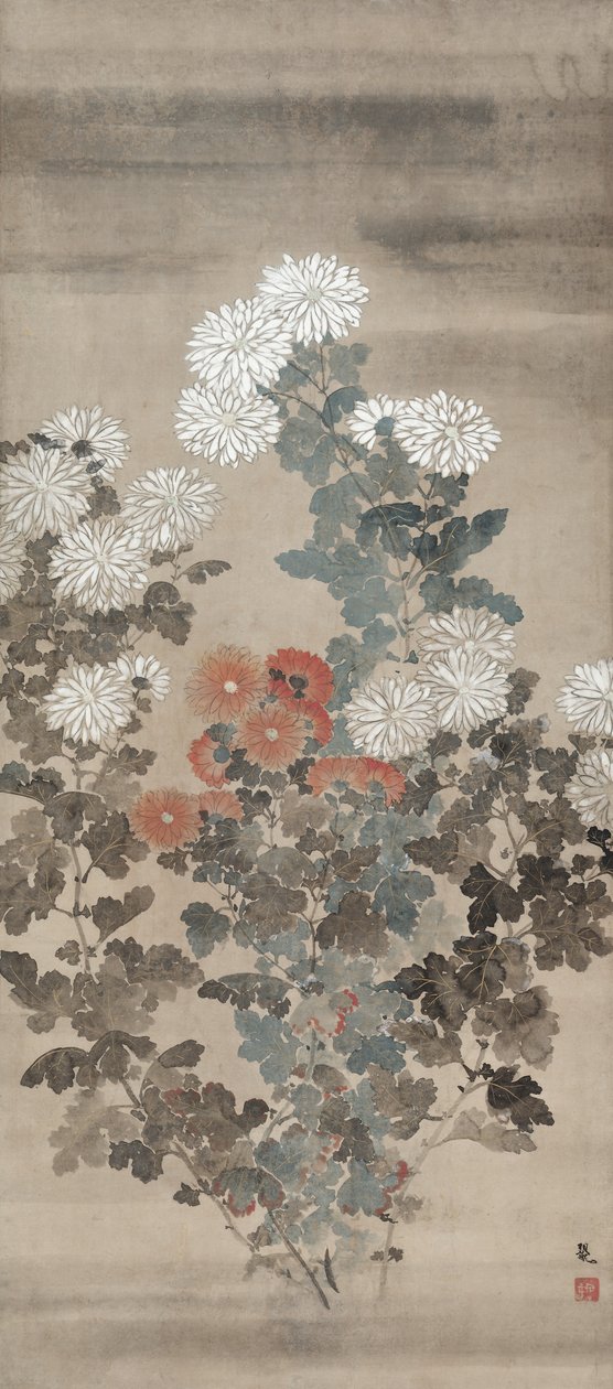 Krysantemum, midten af 1600-tallet. af Kitagawa Sosetsu