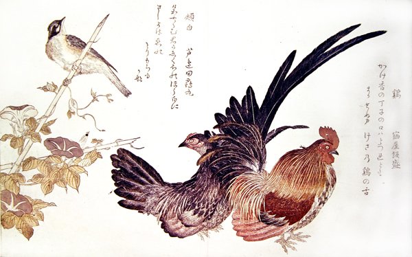 En tamhøne og hane og en japansk bunting på et bambusskud, ca. 1791 (farvet træbloktryk) af Kitagawa Utamaro