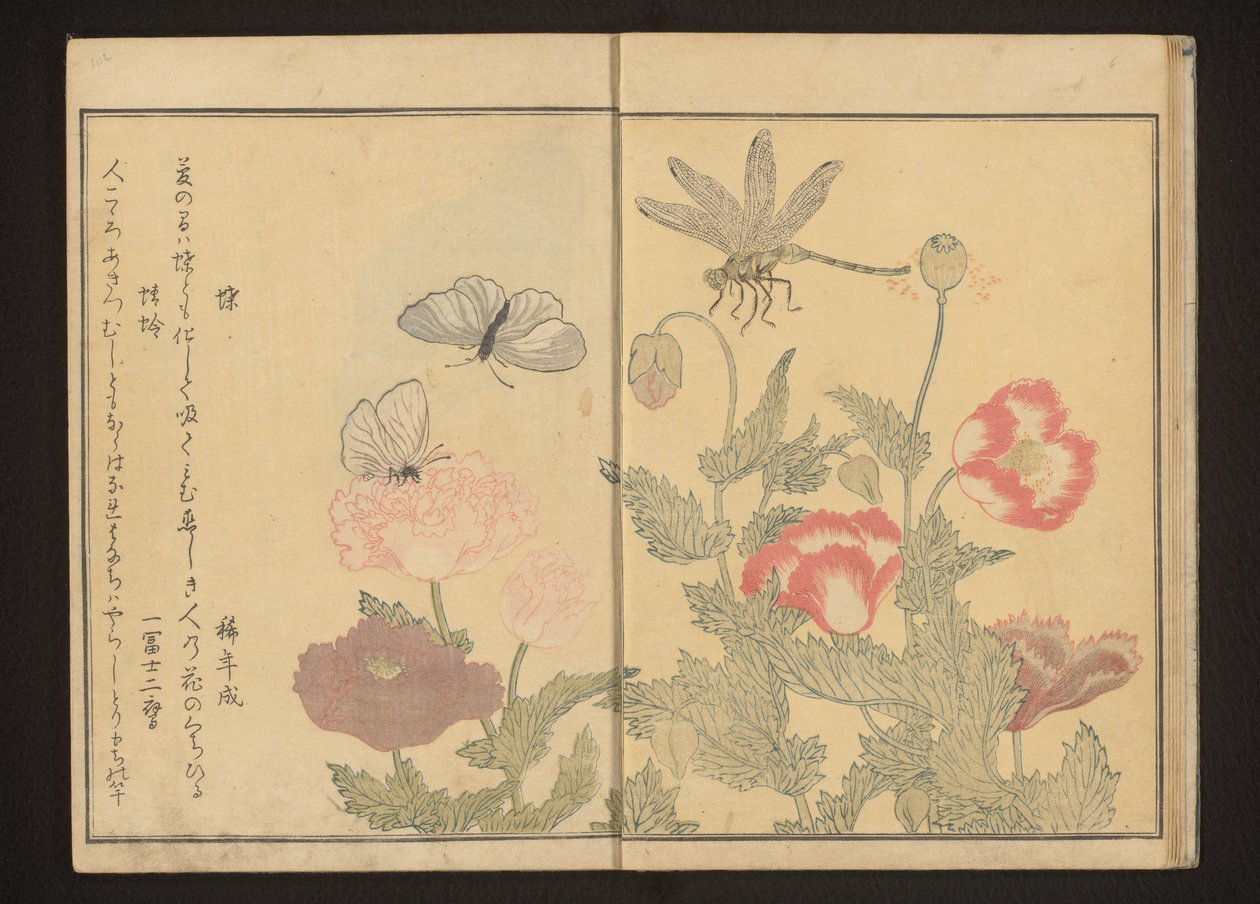 Sommerfugle og guldsmede nær valmuer af Kitagawa Utamaro