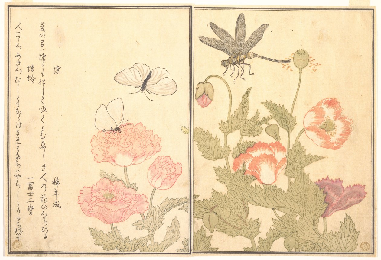 Sommerfugl (Chō); Guldsmed (Kagerō eller Tonbo), fra Billedbogen om krybende væsener (Ehon mushi erami) af Kitagawa Utamaro