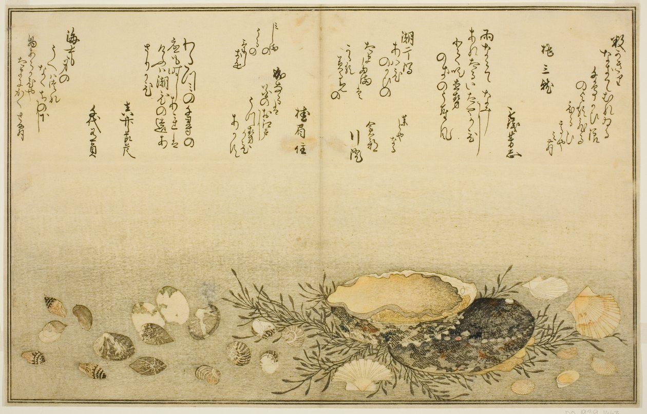 Chidori - udenfor, smerte - udenfor, abalone, bevæg dig - udenfor, muslinger - udenfor, der er en idé til Allah, fra latte-bladene af af Kitagawa Utamaro