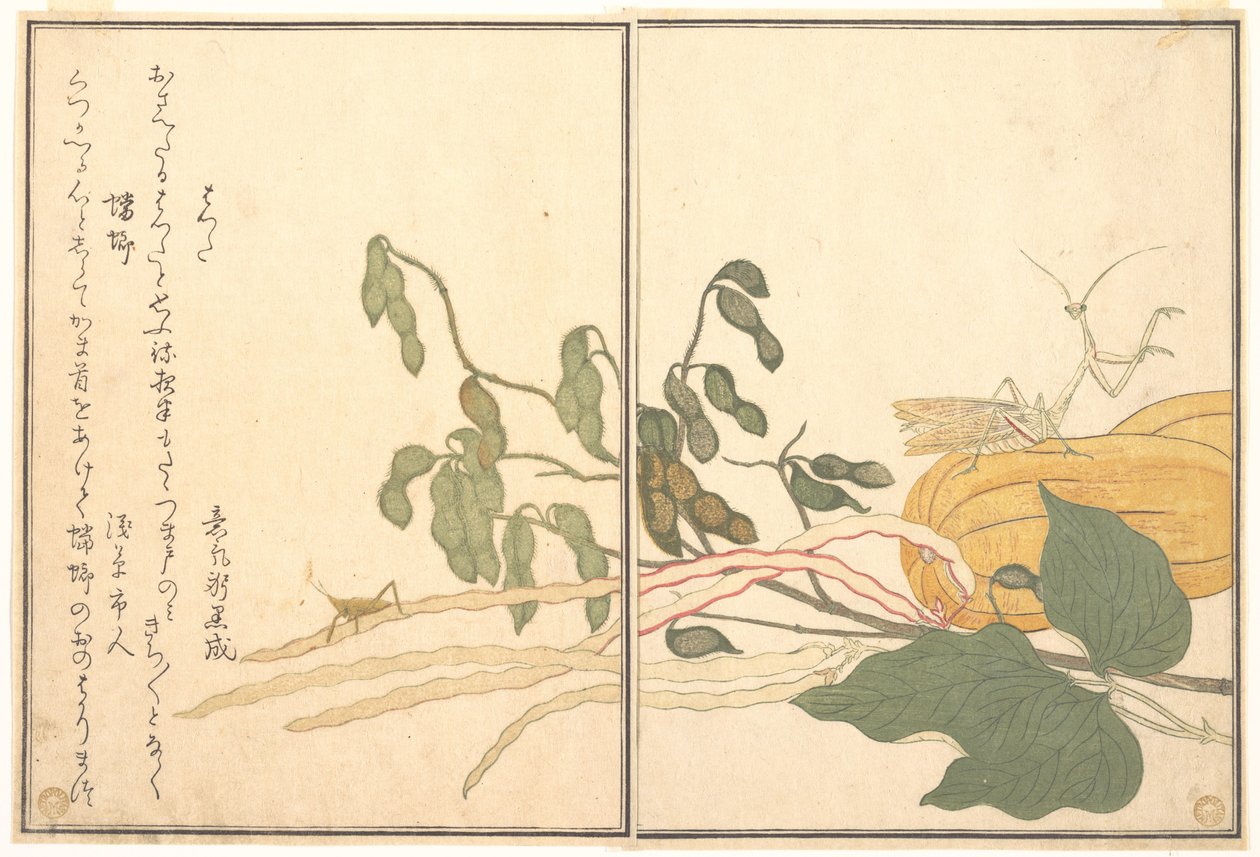 Keglehovedet græshoppe eller locust (batta); bønseks (Tōrō eller Kamakiri), fra billedbogen om krybende dyr (Ehon mushi erami) af Kitagawa Utamaro