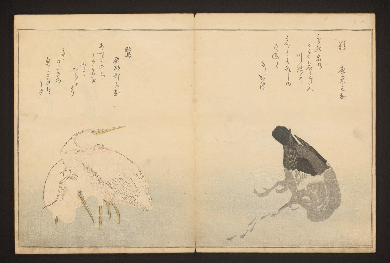 Skarv og hejre af Kitagawa Utamaro
