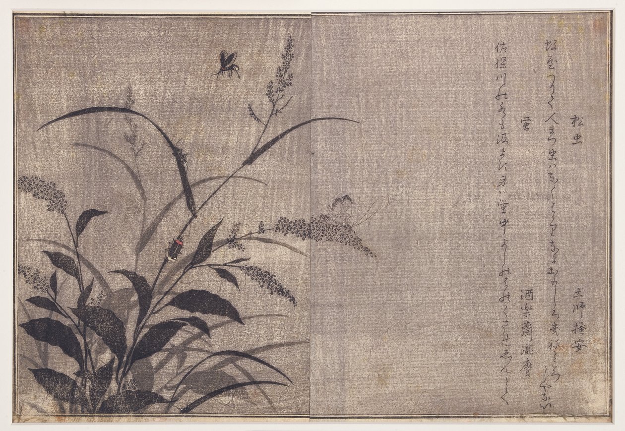 Cricket og ildfluer, 1788 (træblok) af Kitagawa Utamaro