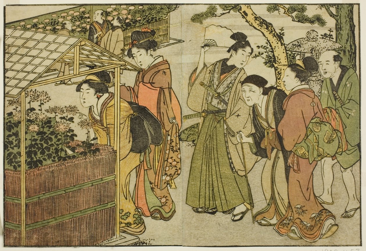 Udstilling af krysantemum, fra den illustrerede bog "Picture Book: Flowers of the Four Seasons (Ehon shiki no hana)," vol. 2 af Kitagawa Utamaro