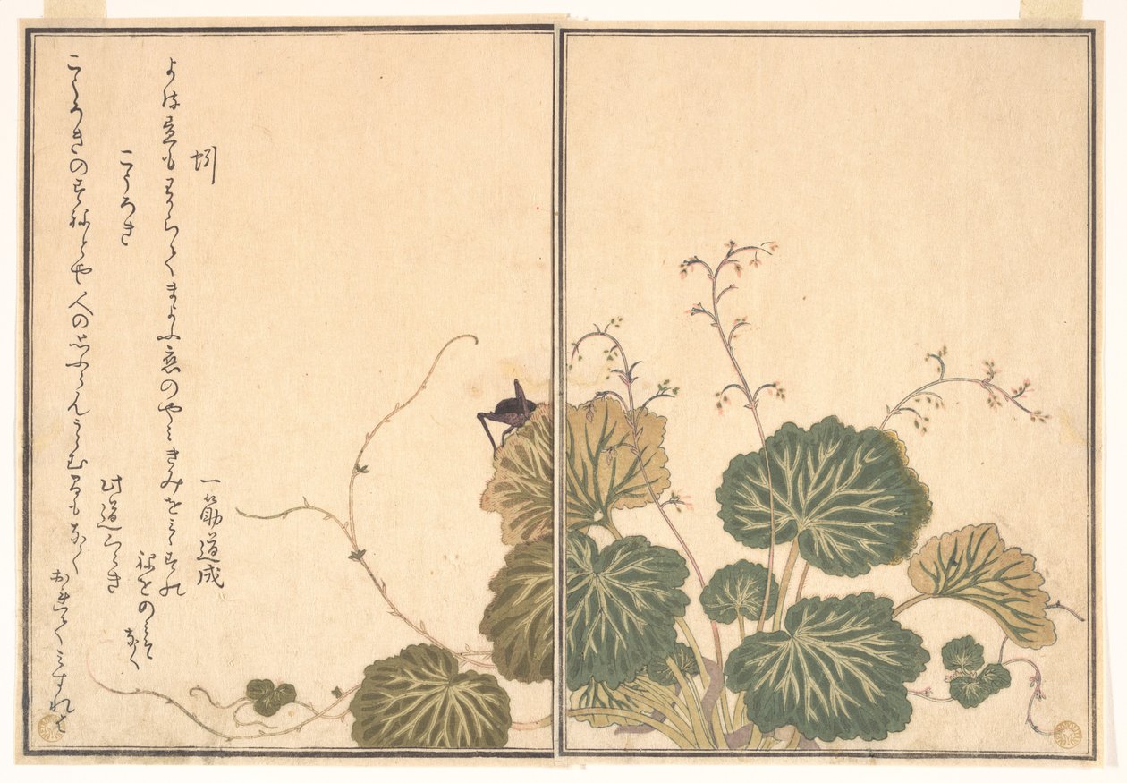 Regnorm (Mimizu); fårekylling (Kōrogi), fra Billedbogen om krybende skabninger (Ehon mushi erami) af Kitagawa Utamaro