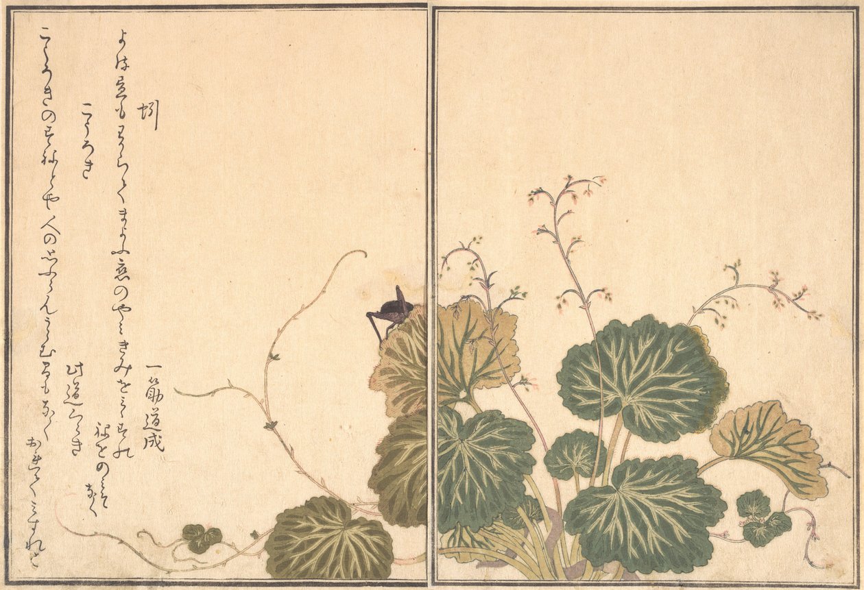 Regnorm Mimizu, Cricket Korogi..., 1788. af Kitagawa Utamaro