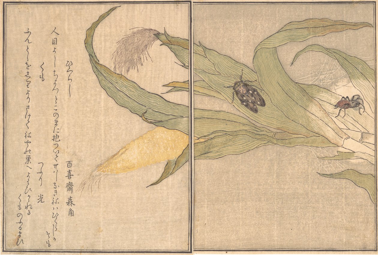 Eve mennesker Tandpleje, Higurashi, S dage, Skyer. . . , 1788. af Kitagawa Utamaro