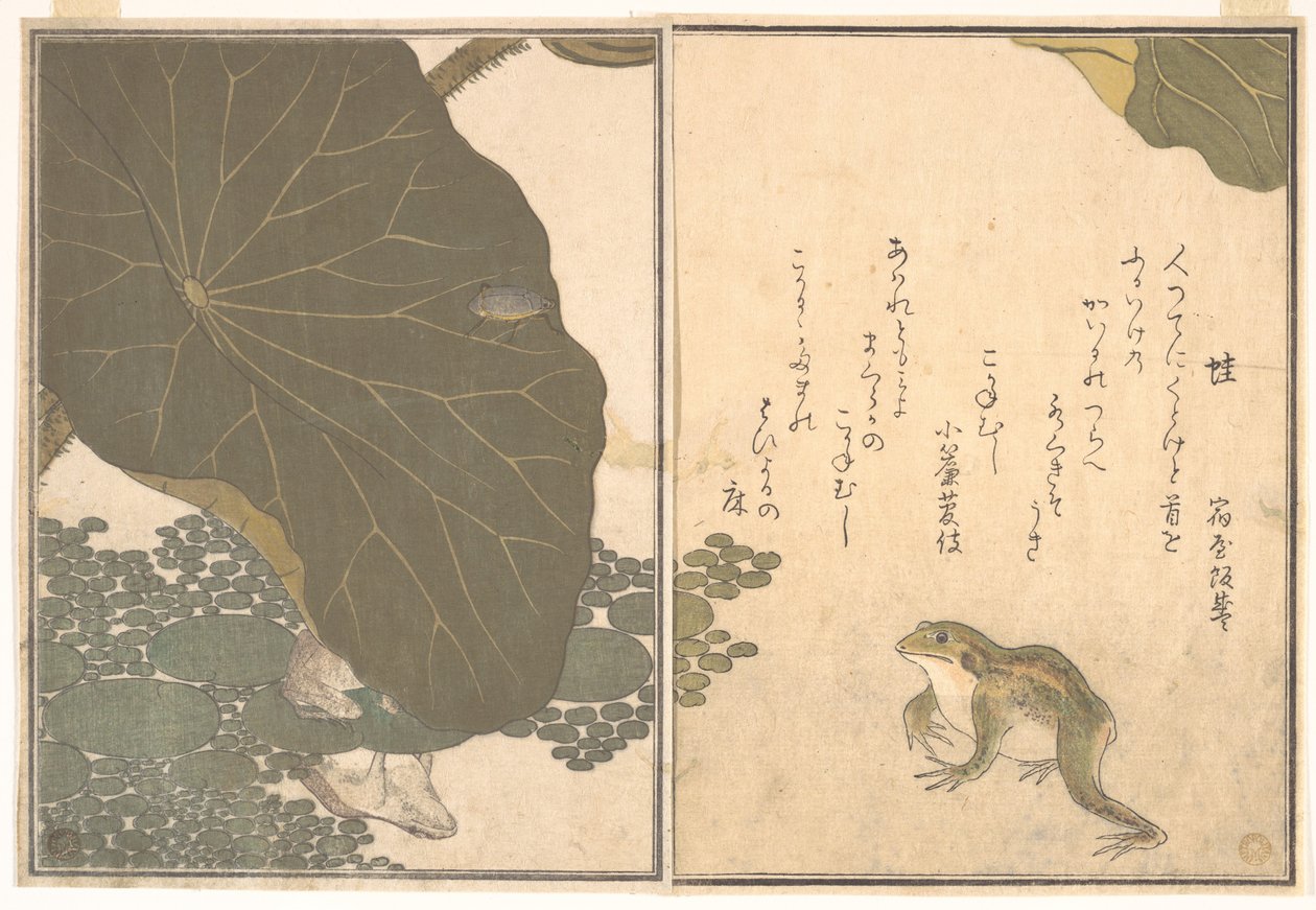 Frø (Kaeru); guldbille (Kogane mushi), fra Billedbogen om krybende skabninger (Ehon mushi erami) af Kitagawa Utamaro