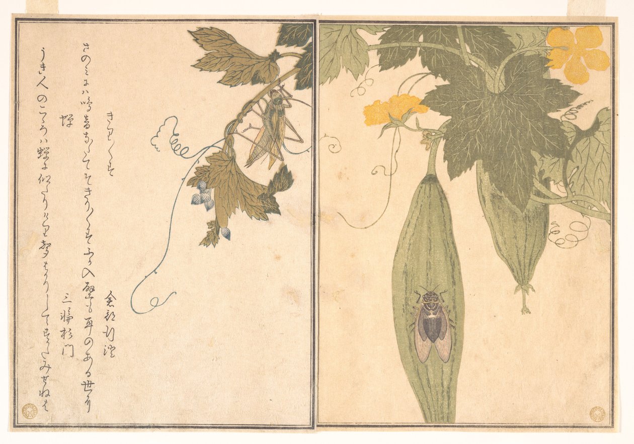 Græshoppe (Kirigirisu); cikade (Semi), fra Billedbogen med krybende skabninger (Ehon mushi erami) af Kitagawa Utamaro
