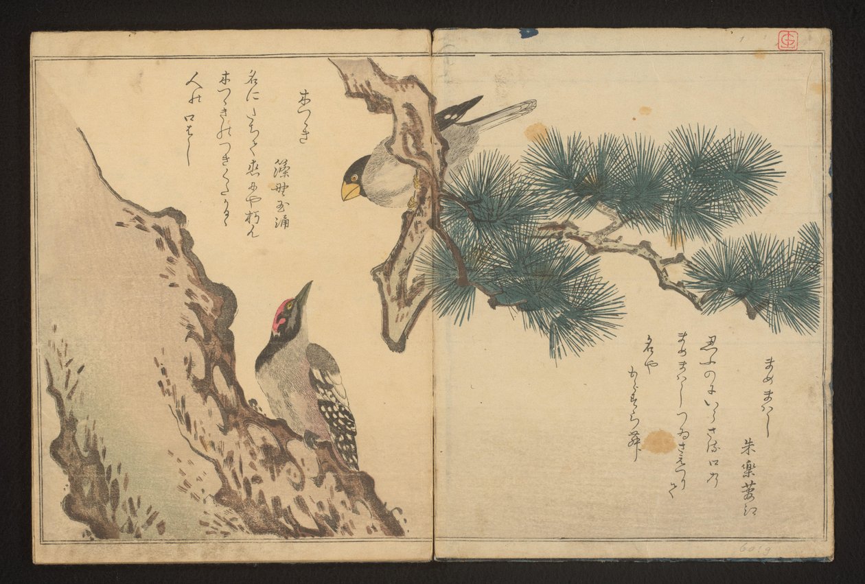 Gronbeak og spætte af Kitagawa Utamaro
