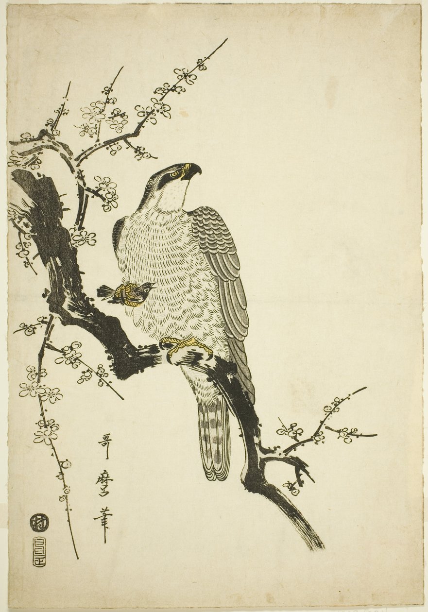 Høg på en blommegren af Kitagawa Utamaro
