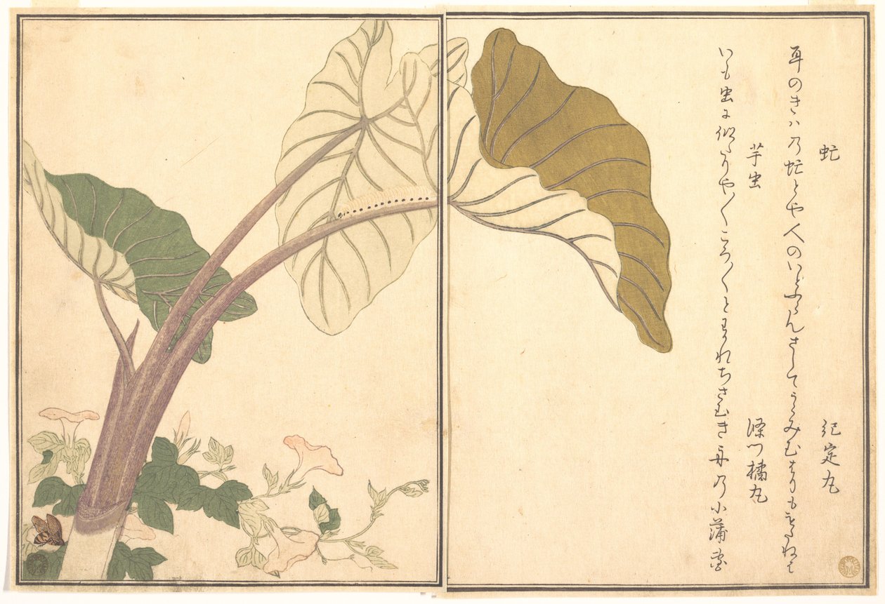 Hestebremse (abu); grøn larve, imomushi, fra Billedbogen om krybende skabninger (Ehon mushi erami) af Kitagawa Utamaro