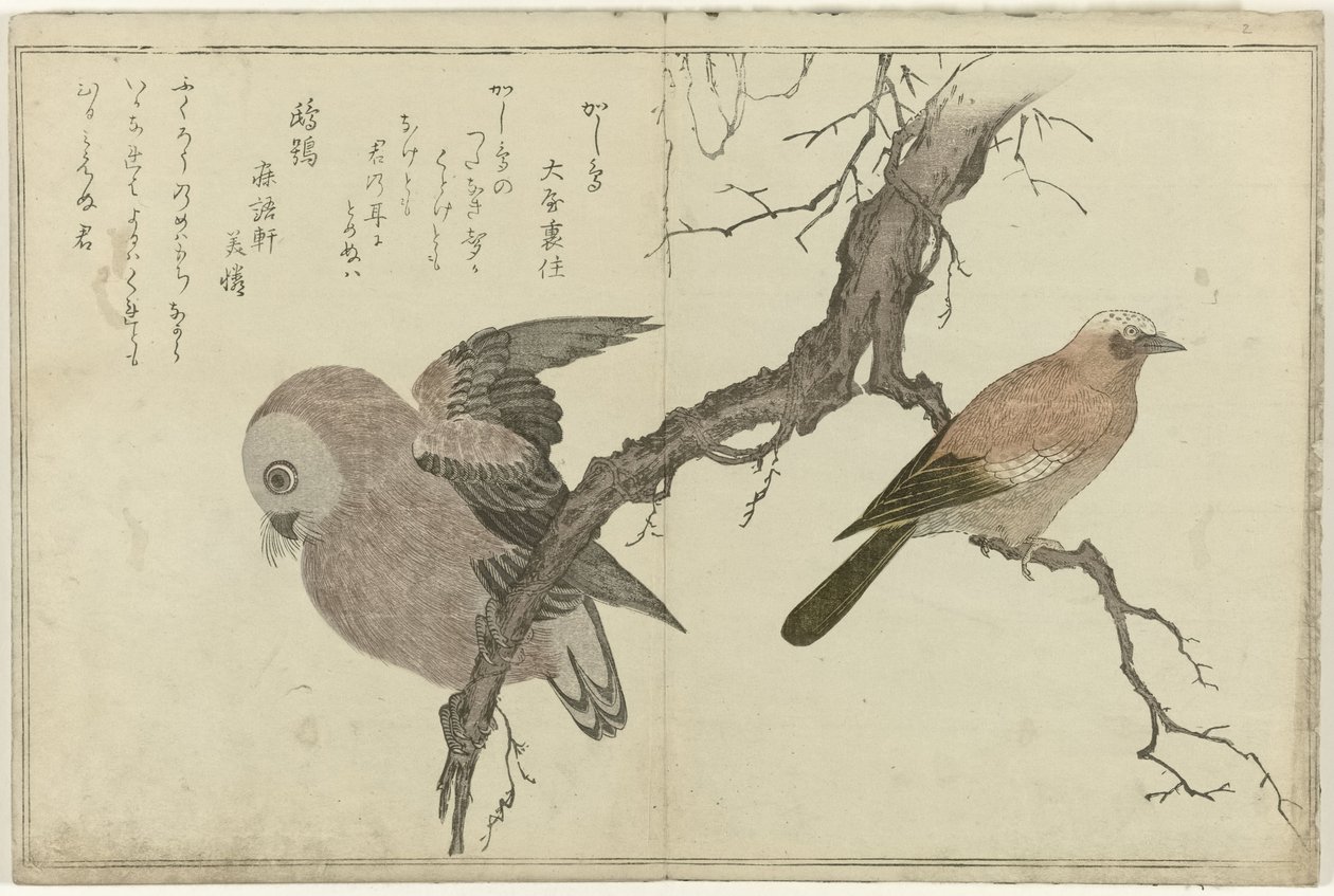 Jay og ugle af Kitagawa Utamaro