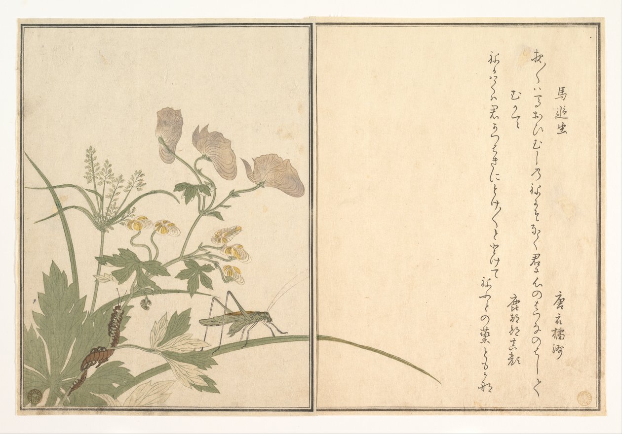 Katydid (Umaoi-mushi); Tusindben (Mukade), fra billedbogen om krybende dyr (Ehon mushi erami) af Kitagawa Utamaro