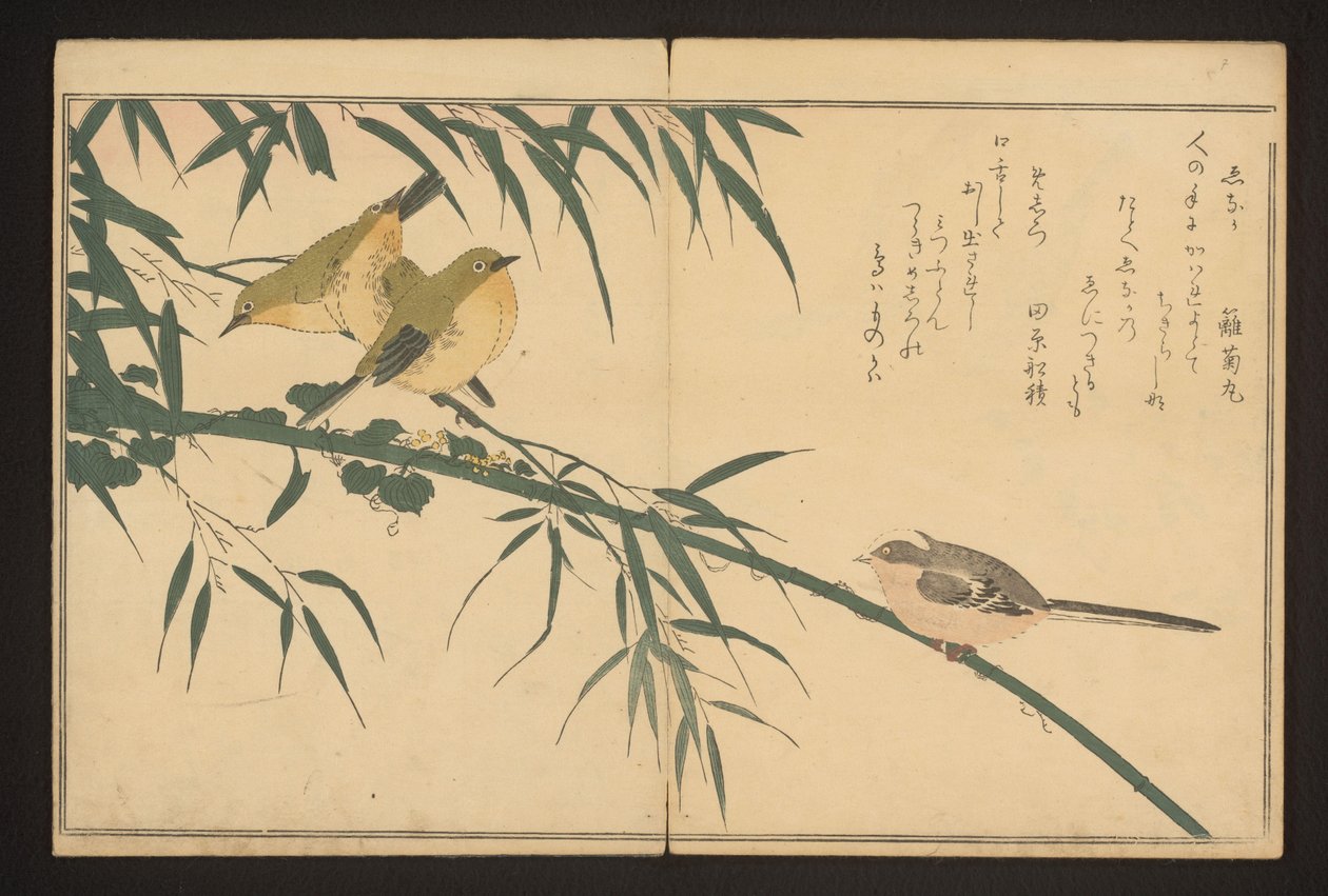 Langhalemejse og hvidøjet af Kitagawa Utamaro