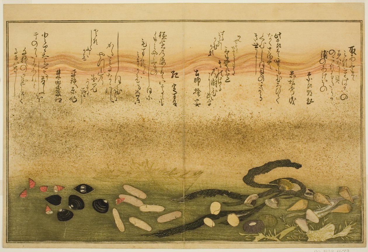 Minashi udenfor, salt udenfor, mug to udenfor, miso udenfor, jimmy udenfor, idé d chigusa udenfor, fra tee st latte dækblade af tidevandet)” af Kitagawa Utamaro