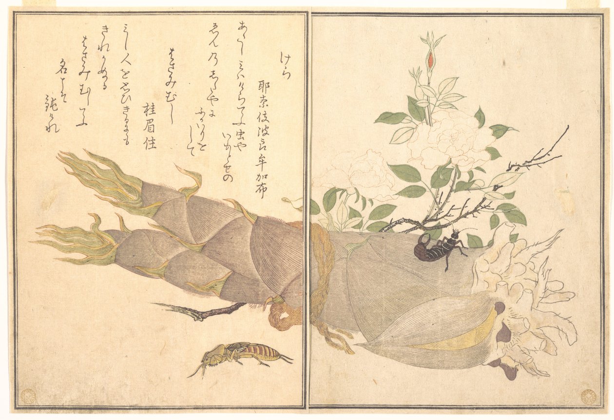 Muldvarpegræshoppe (Kera); Ørekylling (Hasami-mushi), fra billedbogen om krybende dyr (Ehon mushi erami) af Kitagawa Utamaro