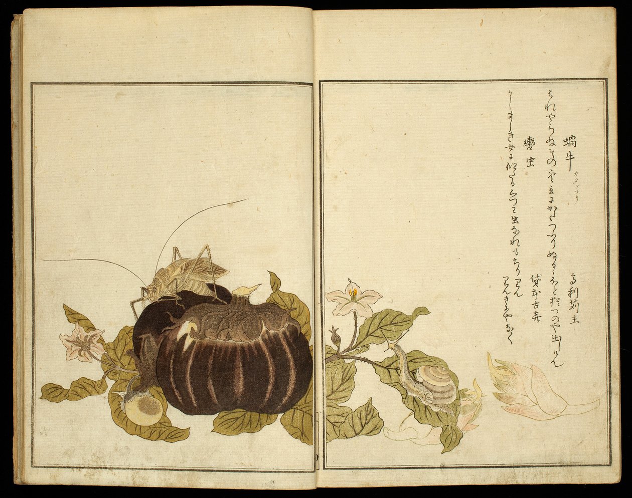 Billedbog: Udvalgte insekter (Ehon mushi erabi) af Kitagawa Utamaro