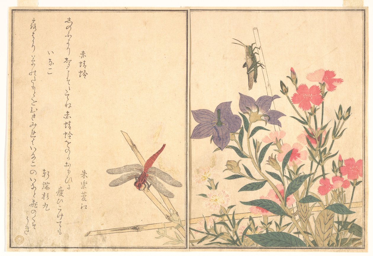 Rød guldsmed (Akatonbo); Græshoppe (Inago), fra billedbogen om krybende dyr (Ehon mushi erami) af Kitagawa Utamaro
