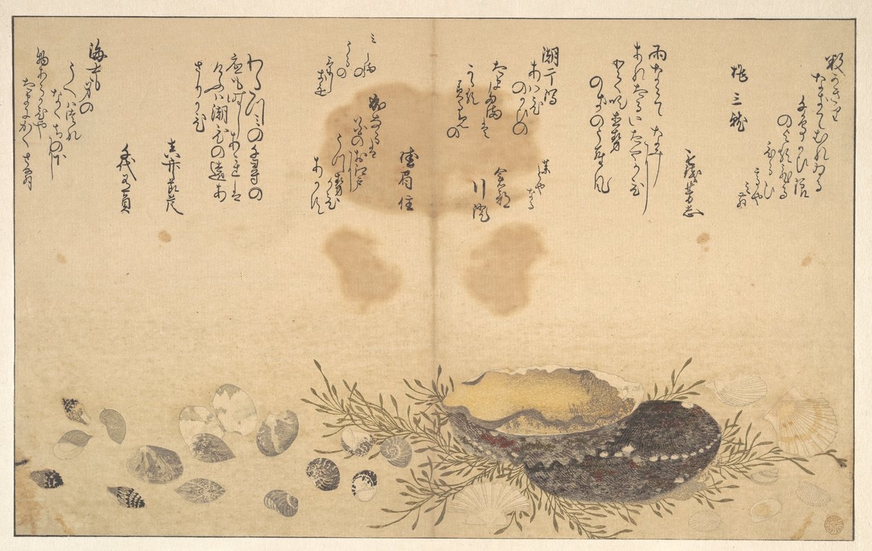 Muslinger under vand af Kitagawa Utamaro