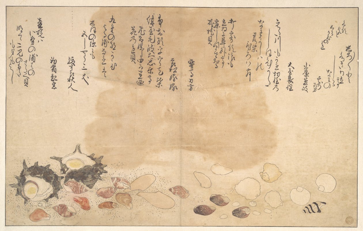Muslingeskaller under vandet af Kitagawa Utamaro