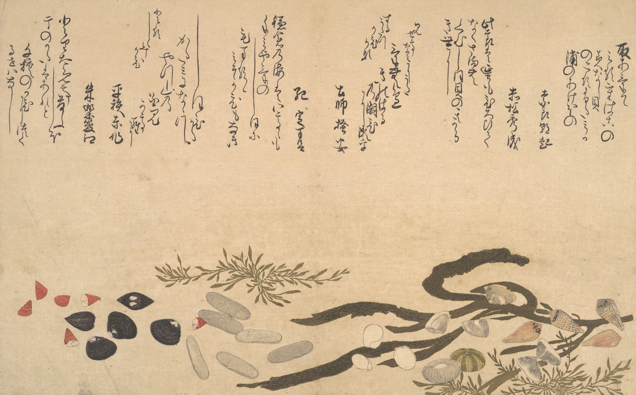 Skaller under vand, 1790. af Kitagawa Utamaro