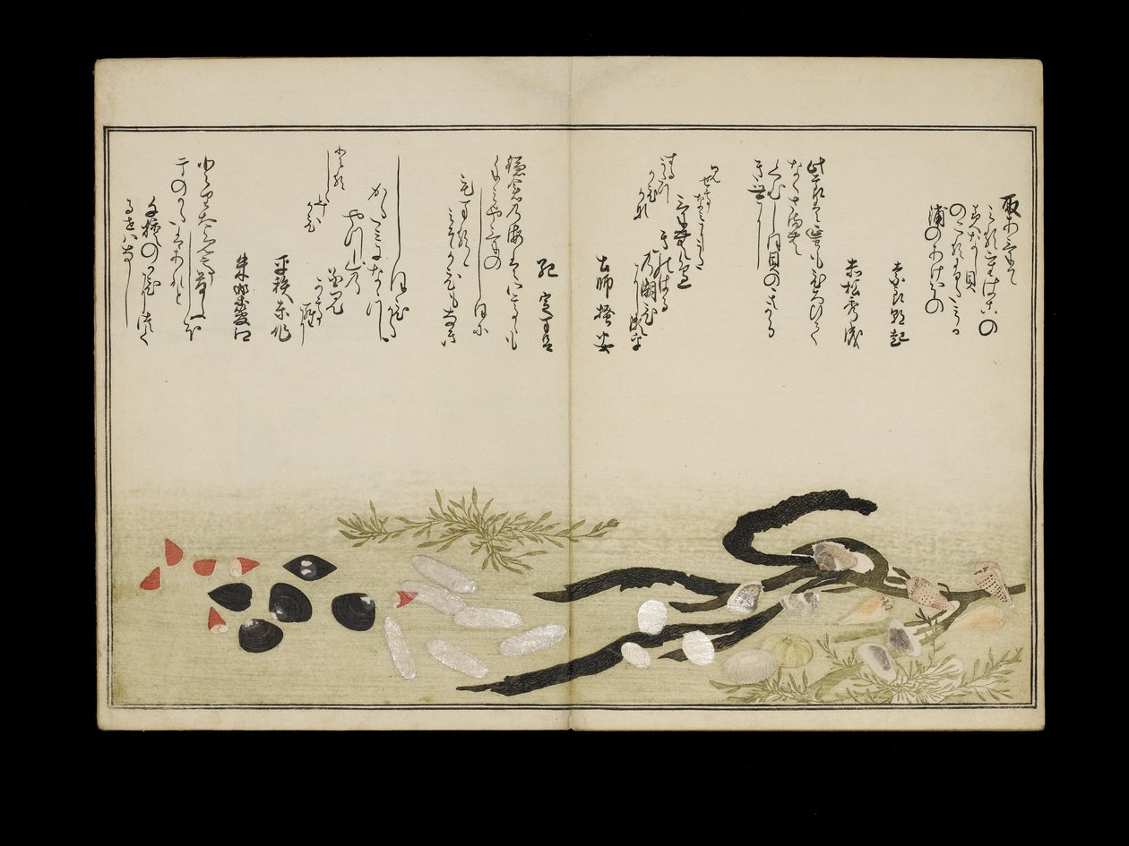 Shiohi no tsuto (Gaver fra Ebbe Tide), kendt som Shell Book, 1789 (farvet træbloktryk) af Kitagawa Utamaro