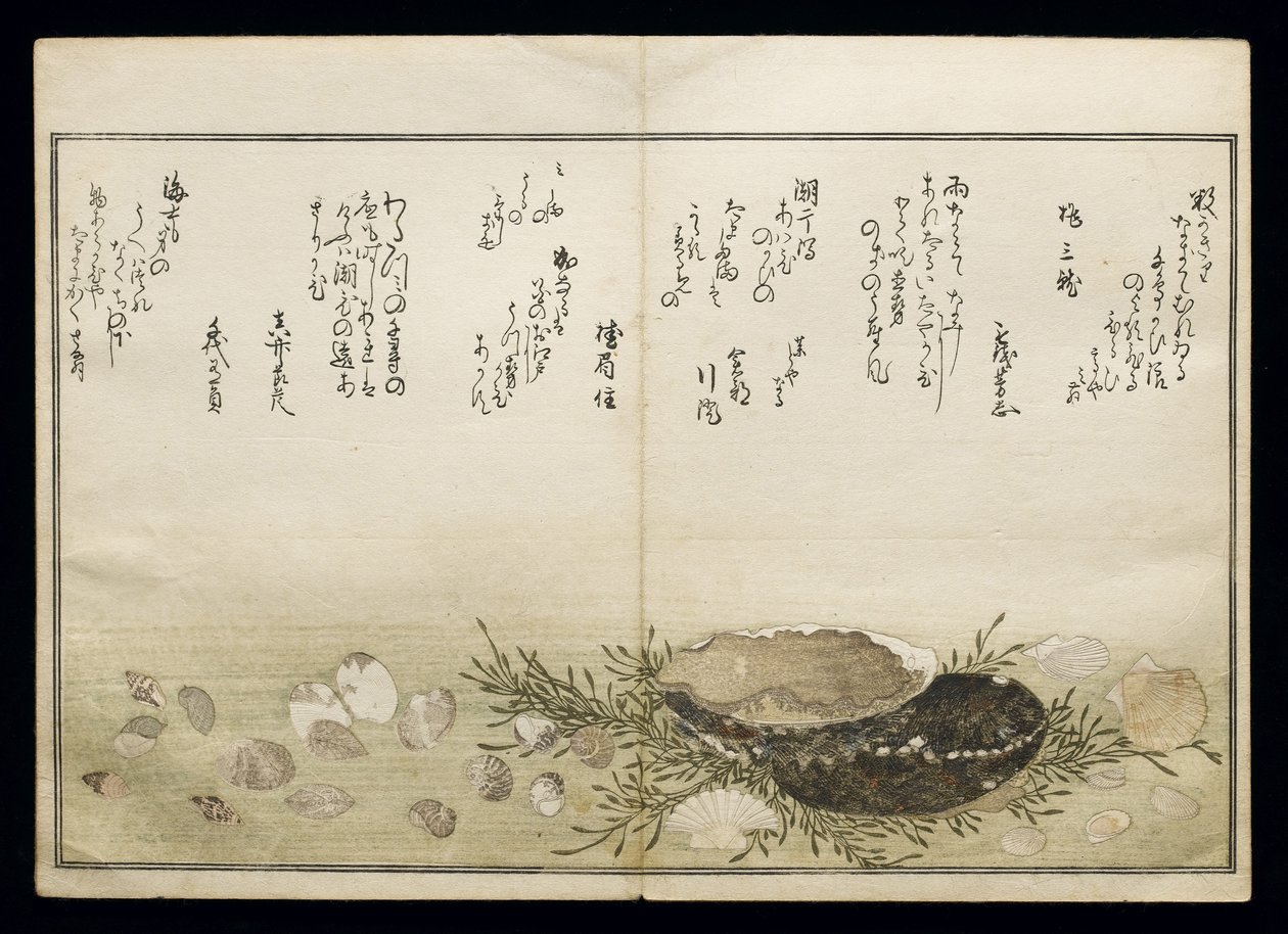 Shiohi no tsuto (Gaver fra Ebbe Tide), kendt som Shell Book, 1789 (farvet træbloktryk) af Kitagawa Utamaro
