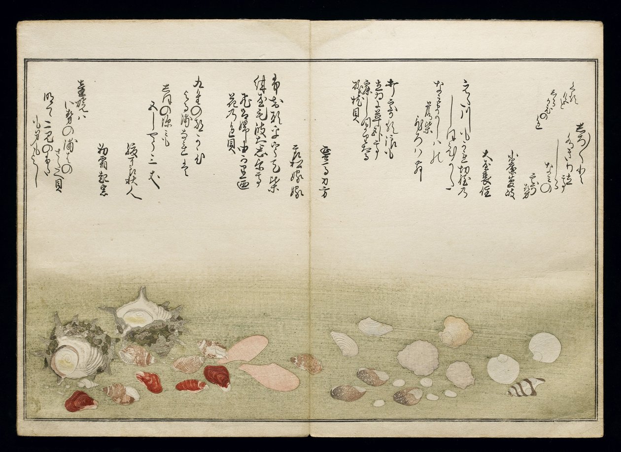 Shiohi no tsuto (Gaver fra Ebbe Tide), kendt som Shell Book, 1789 (farvet træbloktryk) af Kitagawa Utamaro