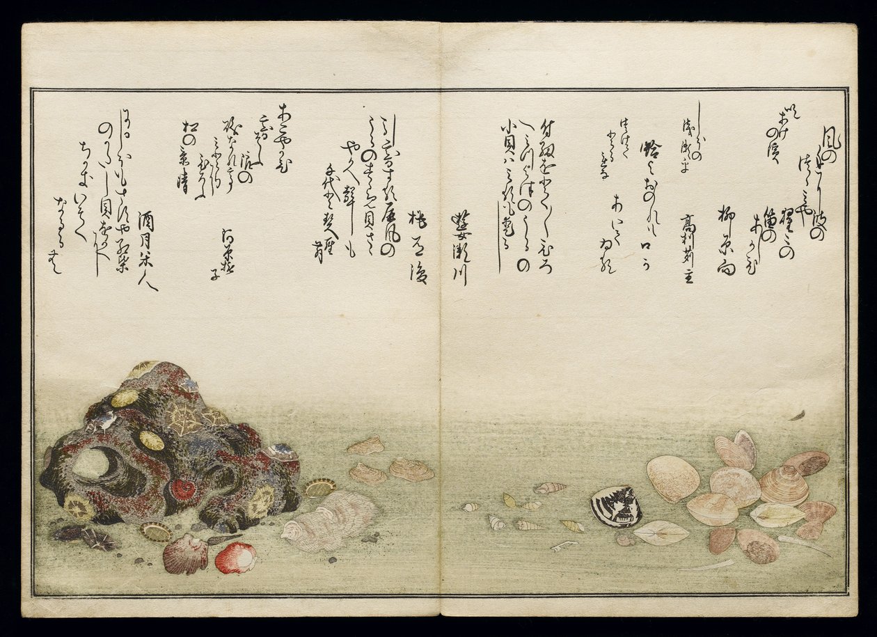 Shiohi no tsuto (Gaver fra Ebbe Tide), kendt som Shell Book, 1789 (farvet træbloktryk) af Kitagawa Utamaro