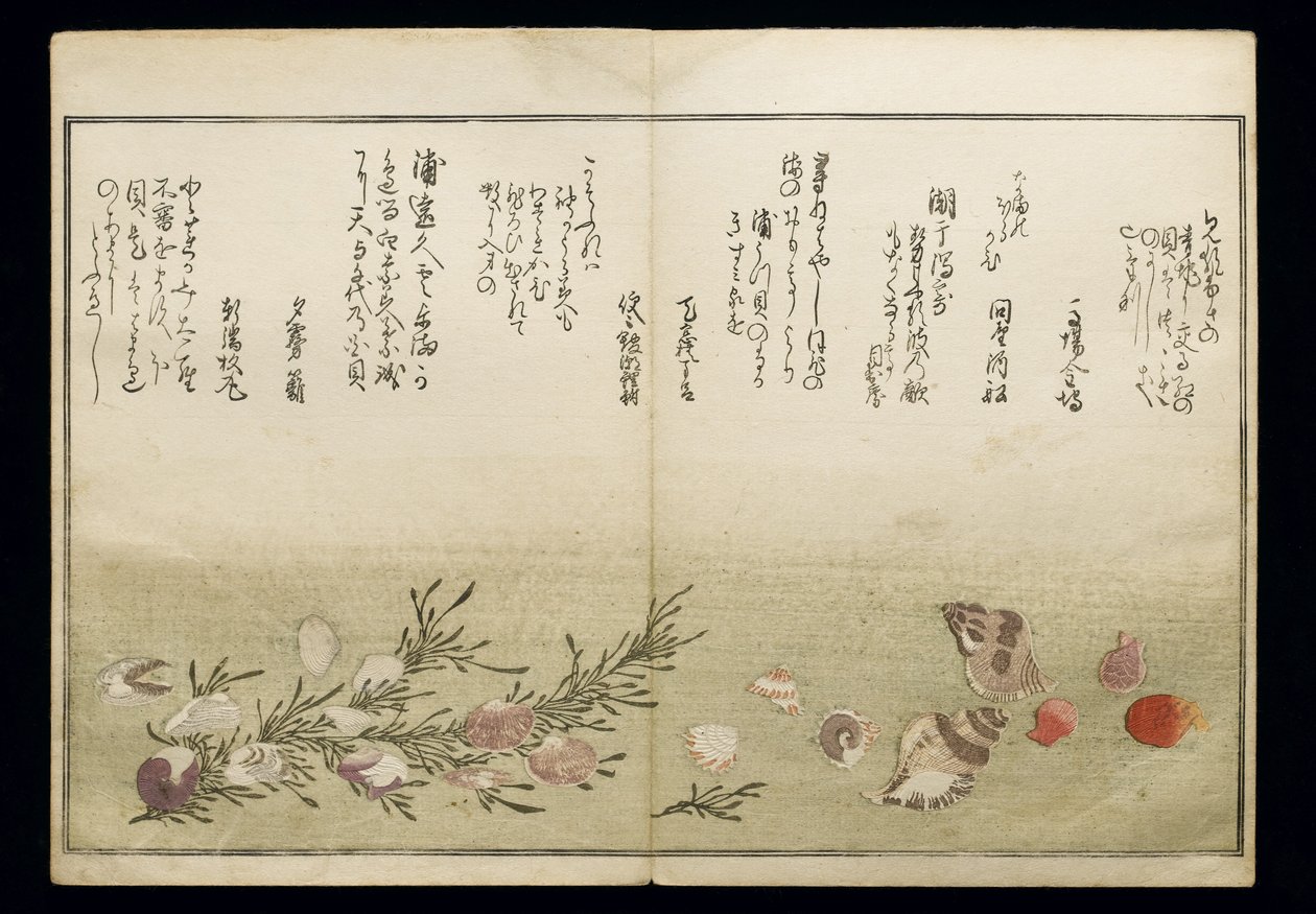 Shiohi no tsuto (Gaver fra ebbe), kendt som Shell Book, 1789 (farve-træsnit) af Kitagawa Utamaro