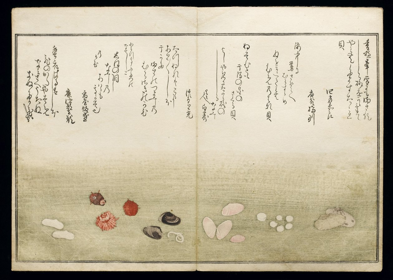 Shiohi no tsuto (Gaver fra ebbe), kendt som Shell Book, 1789 (farve-træsnit) af Kitagawa Utamaro