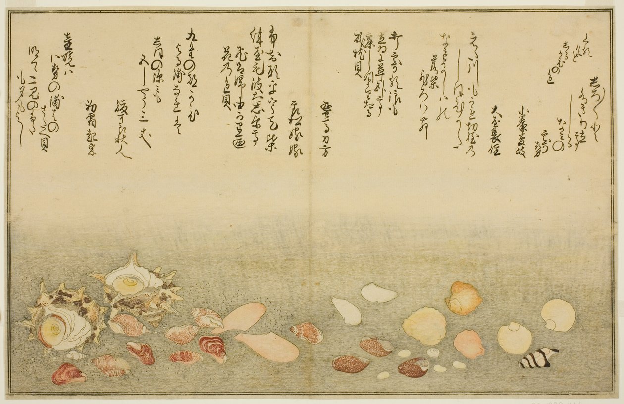 Hvid yderside, rynker på overfladen, Maclar Street, Yellow Street, Other Street, Sadaei, fra tee st latte d book o k "Teknik fts from tee eh b on the ground (bracts of seawater)" af Kitagawa Utamaro